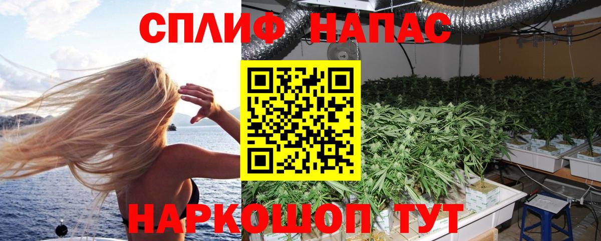 Каннабис Ganja  Шишки марихуана план  Новозыбков  Конопля тримм  Вход с VPN  Бошки Шишки AK-47 